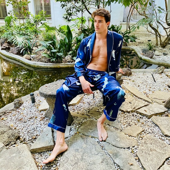 Silky Blue Bird Print Robe and Short Pajama Set - Picture 4 of 5